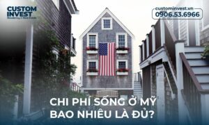 Chí sống ở Mỹ - Bao nhiêu là đủ